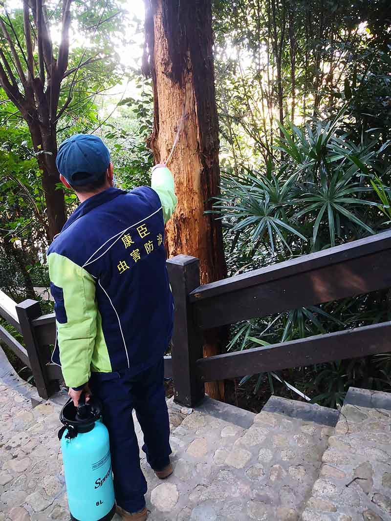 古樹(shù)保護(hù)