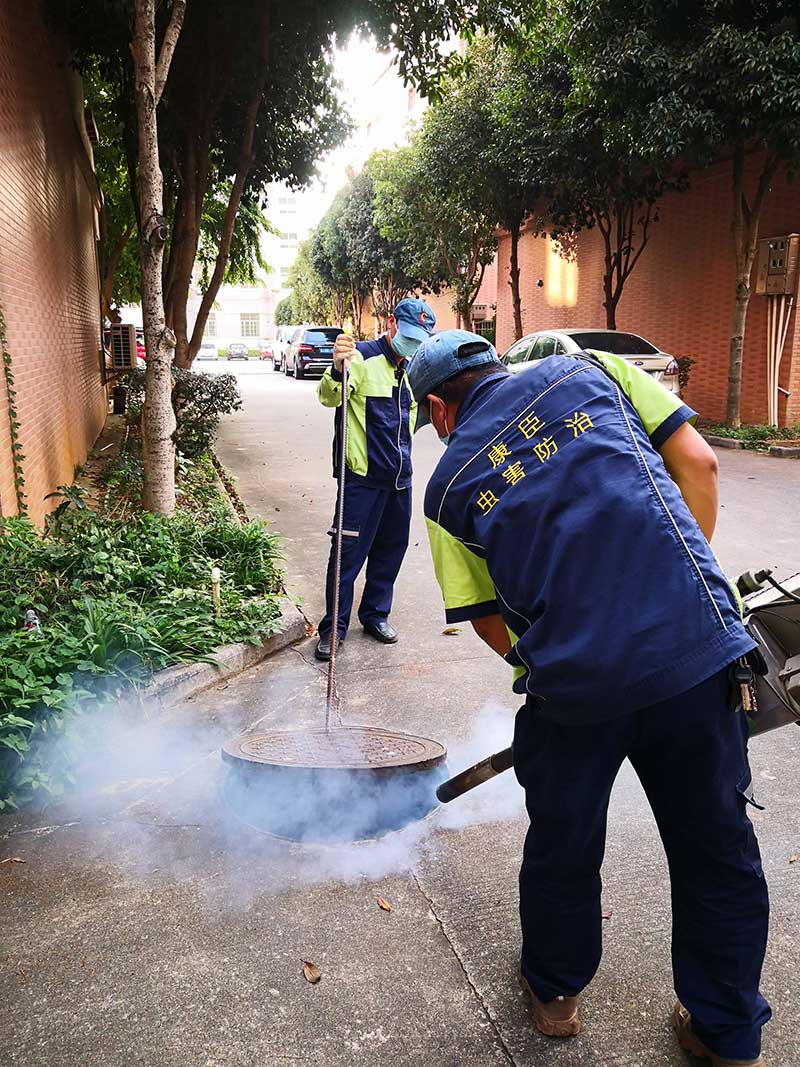 煙熏殺蟲(chóng)