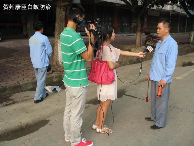電視臺(tái)采訪(fǎng)康臣白蟻防治現(xiàn)場(chǎng)